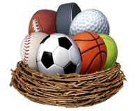 126034721-basket with sports balls